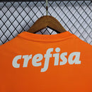 Camisa Palmeiras Goleiro 22/23 - Puma Torcedor Masculina - Laranja