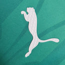 Camisa Palmeiras Treino 24/25 - Puma Torcedor Masculina - Lançamento