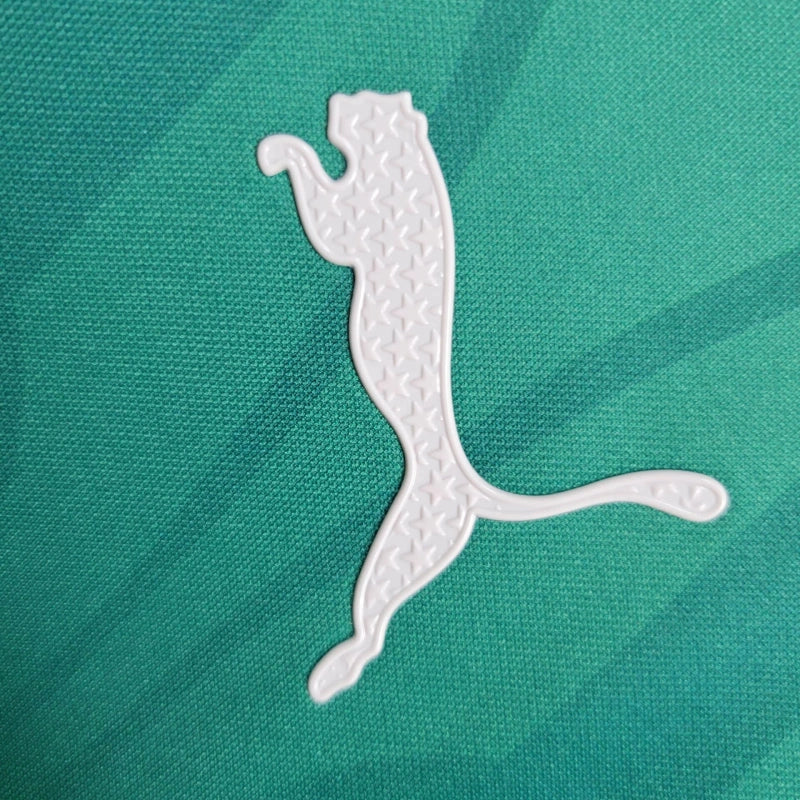 Camisa Palmeiras Treino 24/25 - Puma Torcedor Masculina - Lançamento