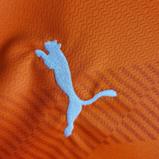 Camisa Palmeiras Goleiro 22/23 - Puma Torcedor Masculina - Laranja