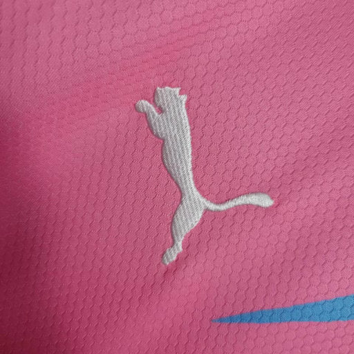 Camisa Palmeiras Outubro Rosa 23/24 - Puma Torcedor Masculina