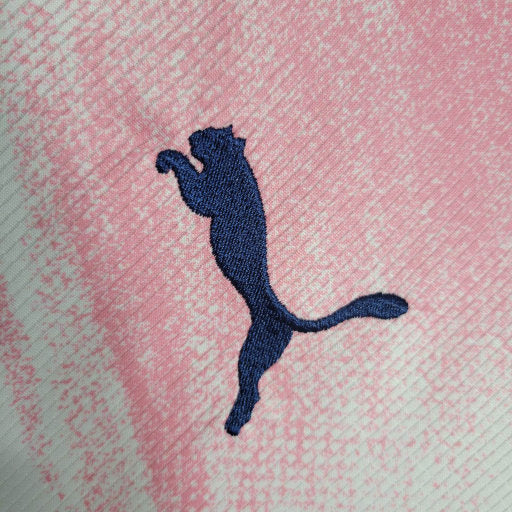 Camisa Palmeiras Novembro Azul 23/24 - Puma Torcedor Masculina