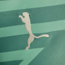 Camisa Palmeiras Goleiro 24/25 - Puma Torcedor Masculina - Verde