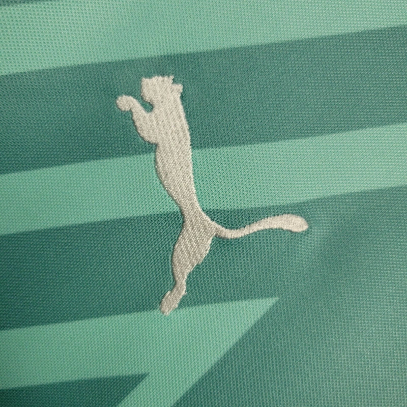 Camisa Palmeiras Goleiro 24/25 - Puma Torcedor Masculina - Verde