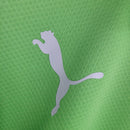 Camisa Polo Palmeiras Treino 23/24 - Puma Torcedor Masculina - Verde