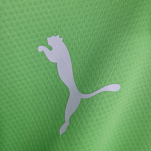 Camisa Polo Palmeiras Treino 23/24 - Puma Torcedor Masculina - Verde