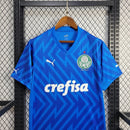 Camisa Palmeiras Goleiro 24/25 - Puma Torcedor Masculina - Azul
