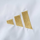 Jaqueta Corta Vento Argentina 24/25 Copa América - Reversível