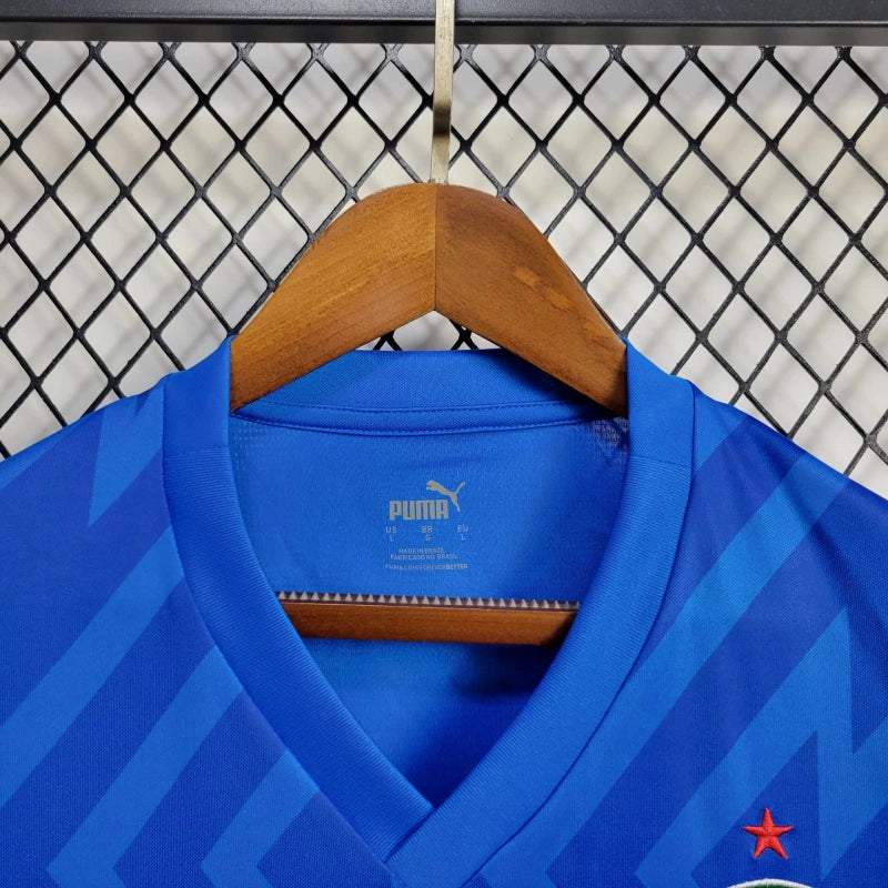 Camisa Palmeiras Goleiro 24/25 - Puma Torcedor Masculina - Azul