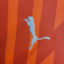 Camisa Palmeiras Goleiro 24/25 - Puma Torcedor Masculina - Laranja