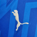 Camisa Palmeiras Goleiro 24/25 - Puma Torcedor Masculina - Azul